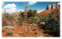 SL-02-Sedona Scene-012.jpg