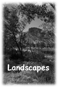 Landscapes