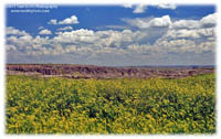 SL-02-Badlands-002.jpg