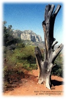 Sedona-47-Painting-01.jpg