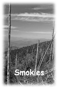 Smoky Mountains