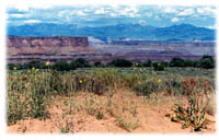 S-00-Grand Canyon-03.jpg