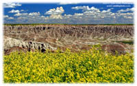 SL-03-Badlands-003.jpg